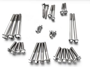 Yamaha XJR1200/1300 Kit vis moteur titane (1995–2003)