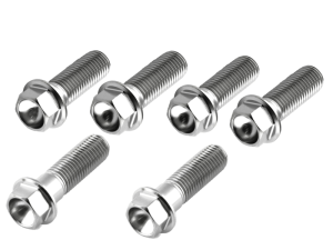 Titanium remankerbouten XJR1300 2002-2016 (6 st)