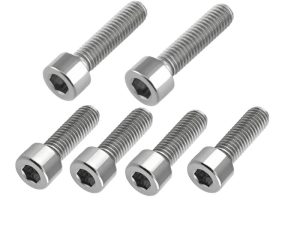 Titaniumbouten kroonplaten (6 st.)