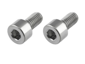Titanium screws for the horns (2 pcs.)